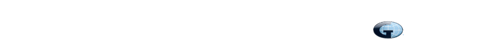 Women in Insurance LA Logo